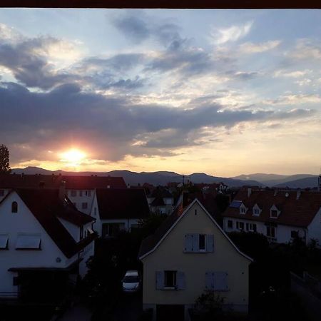 Logement Ideal Pour Un Sejour Alsacien En Amoureux コルマール エクステリア 写真