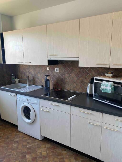 Logement Ideal Pour Un Sejour Alsacien En Amoureux コルマール エクステリア 写真